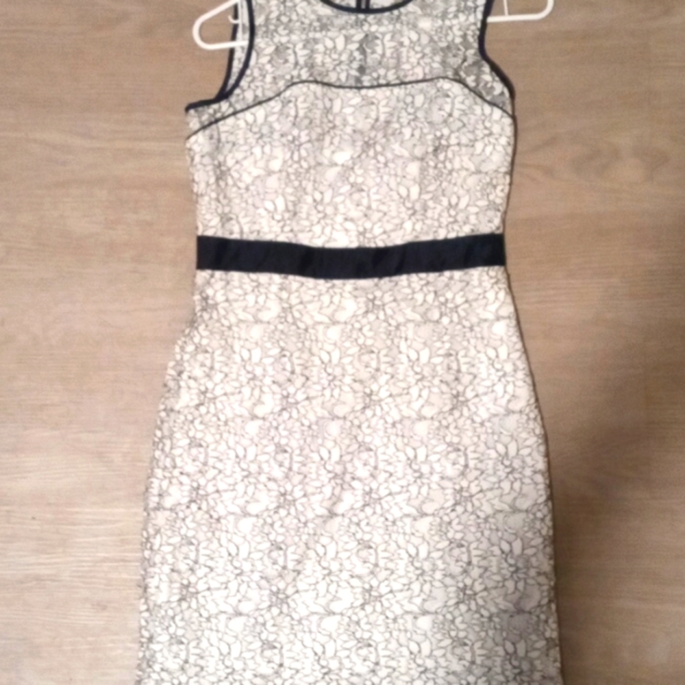 Banana Republic Petite Dress